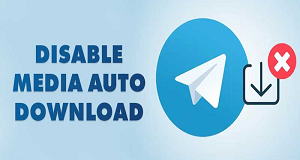 Disable Auto Download in Telegram