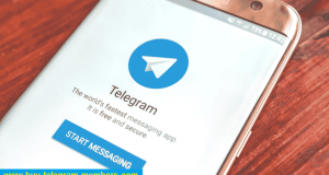 Telegram Subscribers Free